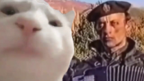 Thumbnail for Cat Vibing to Remove Kebab or Serbia Strong | GekonZ