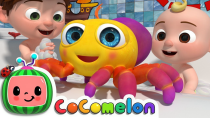 Thumbnail for Itsy Bitsy Spider | CoComelon Nursery Rhymes & Kids Songs | Cocomelon - Nursery Rhymes