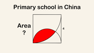 Thumbnail for Viral question from China | MindYourDecisions
