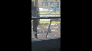 Thumbnail for Nigger destroying the Office for Foreigners in the city of Magdeburg, Germany. He wasn't even arrested. 