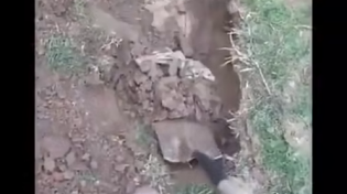 Thumbnail for Guy starts digging in his garden and finds a secret concrete box. You'll never believe what he found