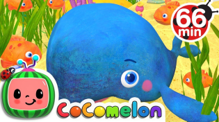 Thumbnail for Baby Blue Whale Song + More Nursery Rhymes & Kids Songs - CoComelon