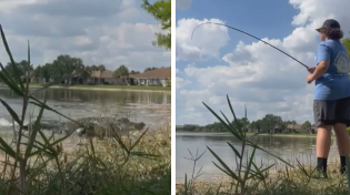 Thumbnail for Alligator Snaps Up Fish Caught by 15-Year-Old