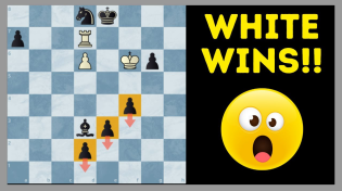 Thumbnail for This Puzzle Just Blew My Mind - Insane Chess Problem | Chess Vibes
