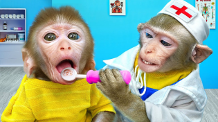 Thumbnail for Funniest Animals 2023 - Doctor KiKi monkey Teeth Checkup for baby - 30 minutes Funny Baby Videos | KUDO ANIMAL KIKI