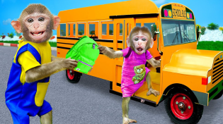 Thumbnail for Funniest Animals 2023 - KiKi monkey take baby go to Magic School Bus -30 minutes Funny Baby Videos | KUDO ANIMAL KIKI