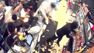 Thumbnail for VIDEO: Surveillance footage shows ‘flash mob’ vandalizing, looting 7-Eleven store | FOX 11 Los Angeles