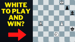 Thumbnail for Can You Find The Winning Move?  A Mind Boggling Study By Mark Liburkin | Chess Vibes