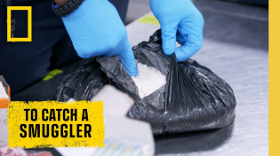 Thumbnail for 🔴 LIVE: Cocaine, Contraband, and Cartel Money: To Catch a Smuggler | S3 FULL EPISODES | @NatGeo | National Geographic