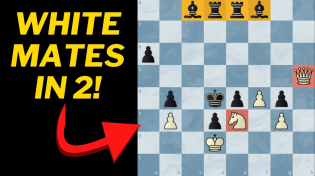 Thumbnail for 4 Spectacular Studies -- I couldn't believe the last one! | Chess Vibes