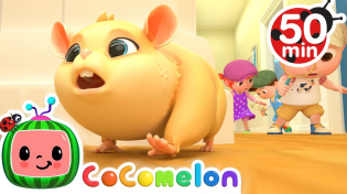 Thumbnail for Lost Hamster Song + More Nursery Rhymes & Kids Songs - CoComelon