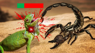 Thumbnail for Are Scorpions OP? | TierZoo