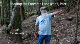 Thumbnail for Tom Wessels: Reading the Forested Landscape, Part 1 | New England Forests